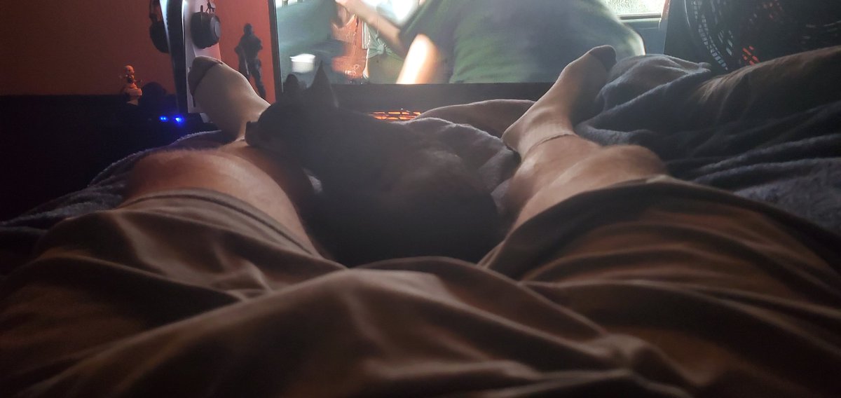 PhillipRuscigno's tweet photo. Always with a little chin on my leg watching movies with me. Texas Chainsaw massacre today. https://t.co/iNwM8qG1LR