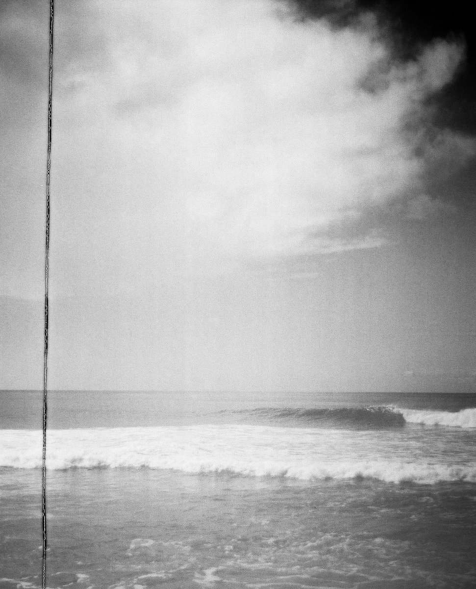 Rachel Sandquist tweet media