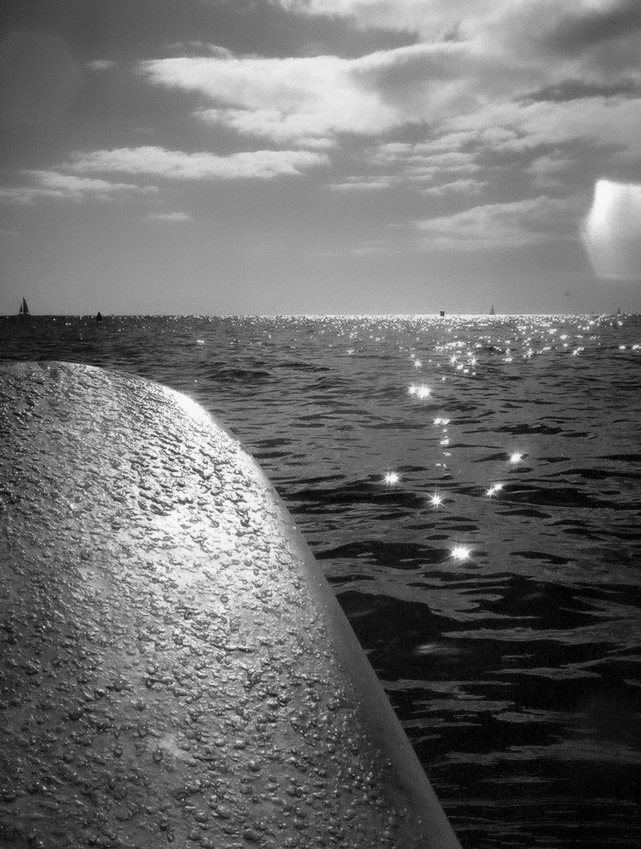 Rachel Sandquist tweet media