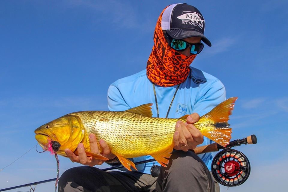 This dorado's been in a scrap or two!

Ph: Lucas De Zan
#flyfishing #flyfish #nautilusreels