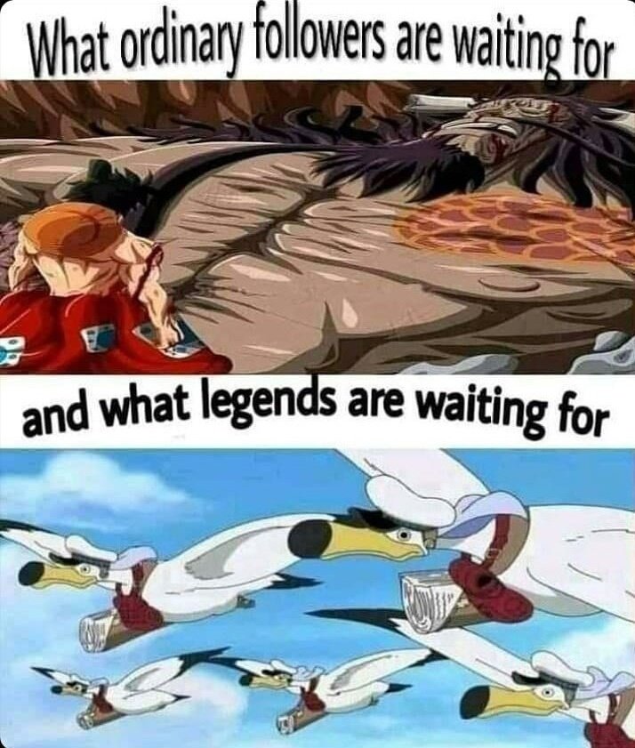 DailyOPMemes's tweet photo. Anime : One Piece https://t.co/eZfSeHe6XH
