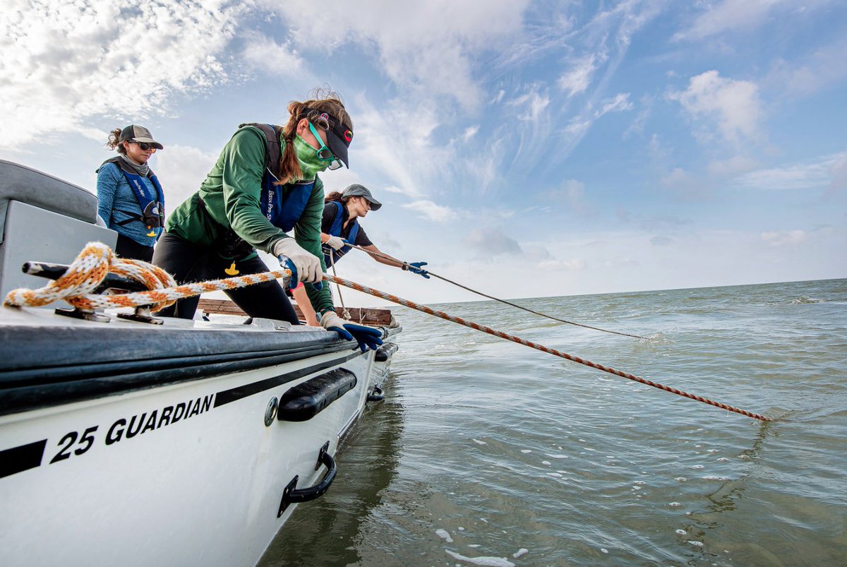 Texas A&M-Corpus Christi tweet media