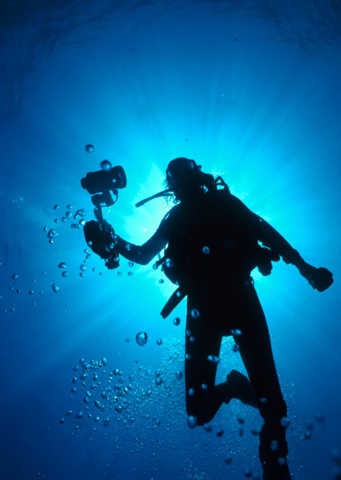Texas A&M-Corpus Christi tweet media