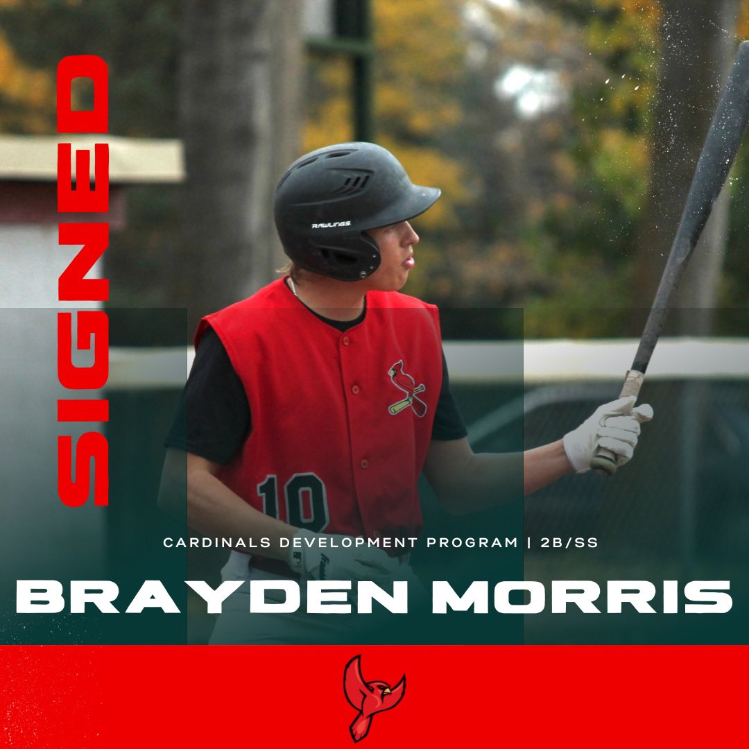 Cardinals Development Program tweet media