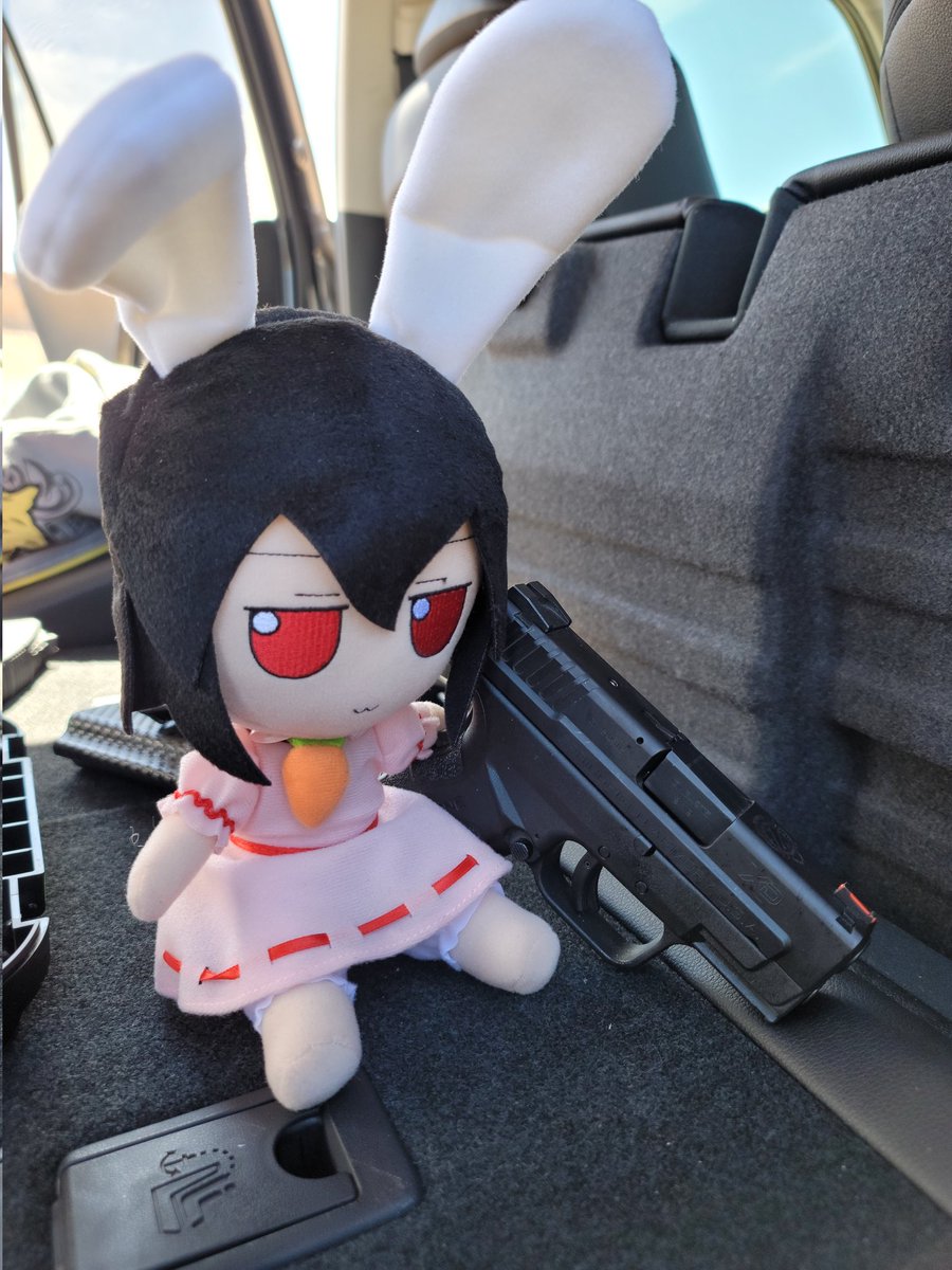 Bunny with a gun.

#touhou #touhoufumo #fumo #tewiinaba #tewifumo #gift #東方Project