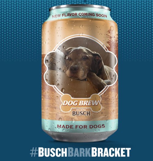 GMag_11's tweet photo. Always knew the old boy would look good on a can @BuschBeer #BuschBarkBracket #contest https://t.co/4Qh60OCjyr