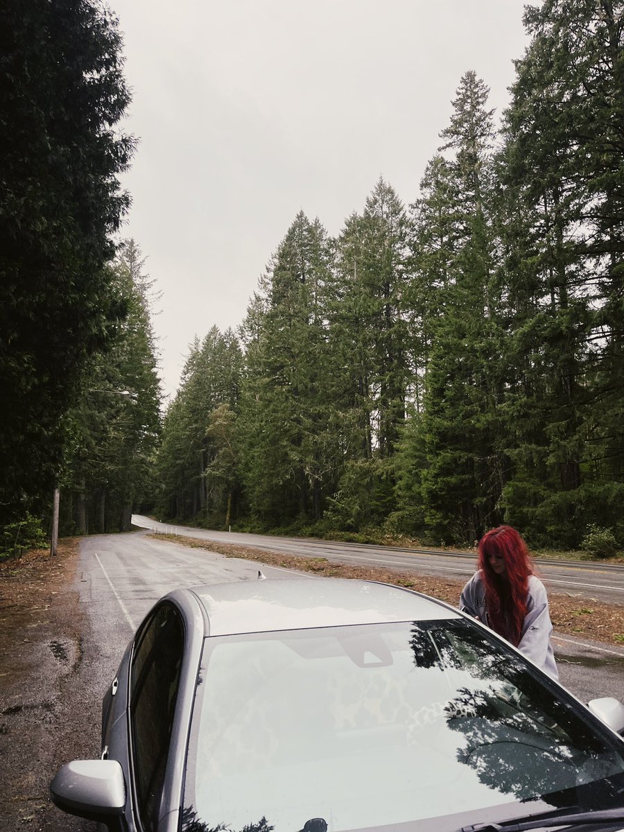 mackenzieh0dges's tweet photo. 💚🧚🌲 https://t.co/PnxVEOWlOs