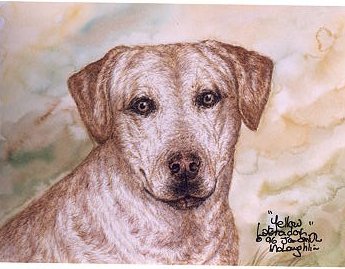 JanMcLa96148225's tweet photo. @ok32650586 @dogcelebration @dogandpuplovers @WeLoveDogsUSA #DogArticles #Dogartist #ArtistOnTwitter #artistontwittter https://t.co/OYdkrjpKNZ