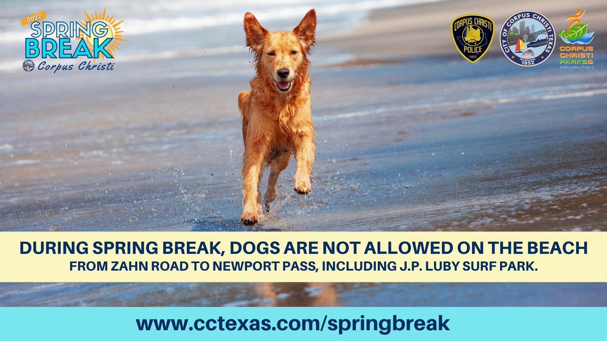 ReadyCC's tweet photo. For the safety of your pet and others, please remember dogs are not allowed on the beach from Zahn Road to Newport Pass, including J.P. Luby Surf Park, during Spring Break. See beach rules at https://t.co/2jpqYBdKZC.
#SpringBreakCC #CCbeaches #CorpusChristi #GolfCoastCapital https://t.co/utJ2gupDrC