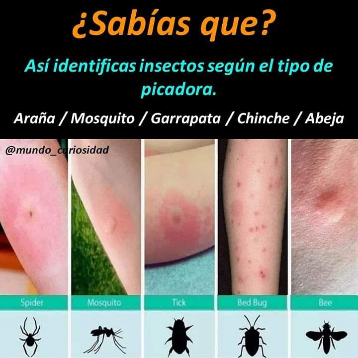 webcamsdemexico's tweet photo. #INFOTIP de @FarmaciaMIDerma.
https://t.co/ZiLNjkF48d