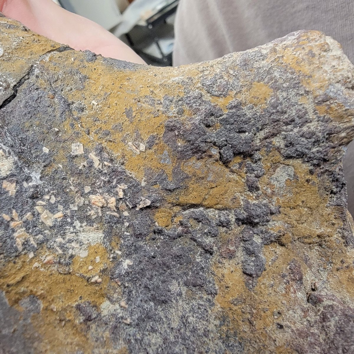 Jim Kirkland on Twitter "Our new 2/3rds time preparator, Ethan Cowgill