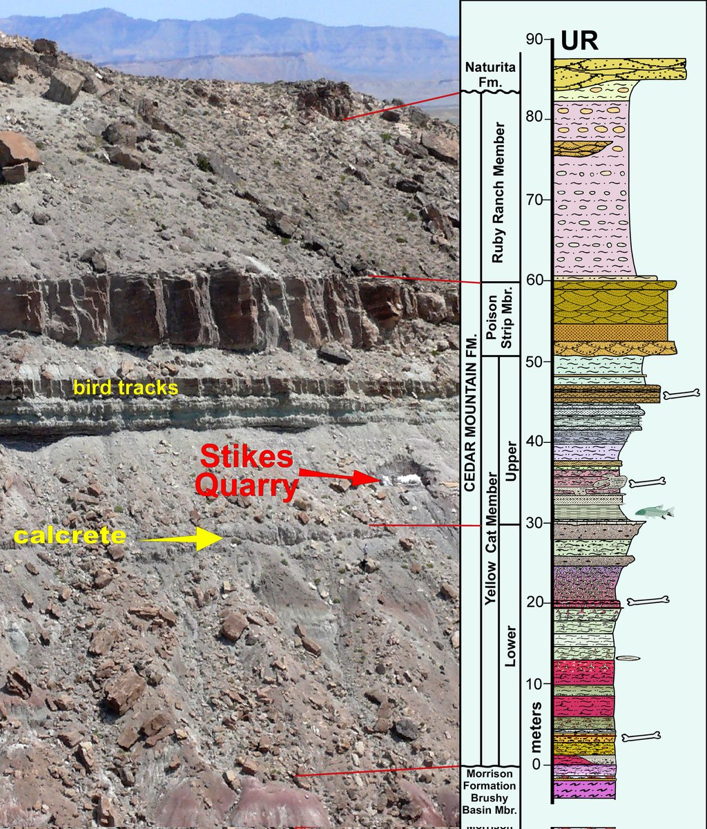 Jim Kirkland on Twitter "Our new 2/3rds time preparator, Ethan Cowgill