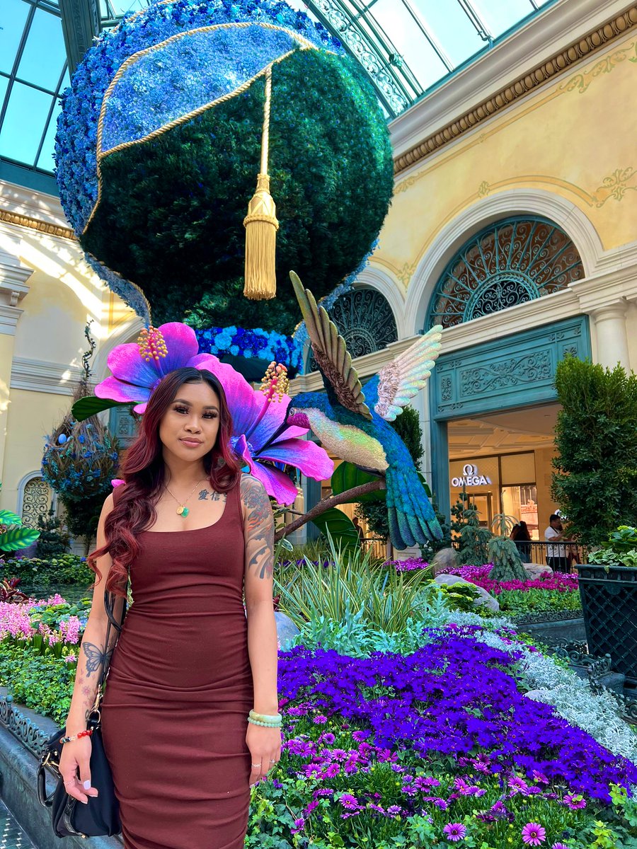 ashkillla's tweet photo. Vegas babyyy☁️🌺🦚🌸🤎 https://t.co/edKkp129i5