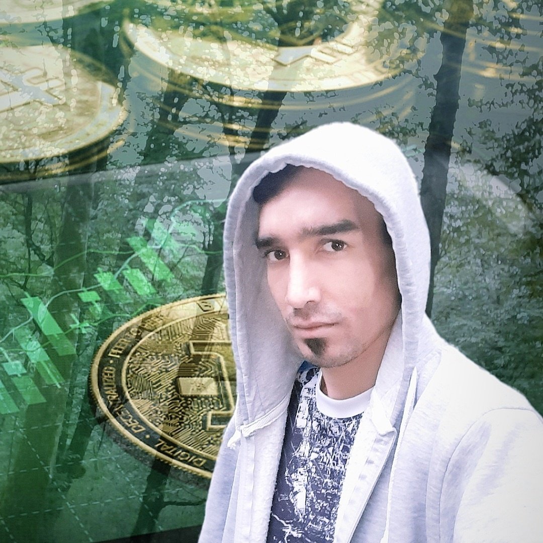 HAmedAbasi2's tweet image. #Btc #treechart  #NFT