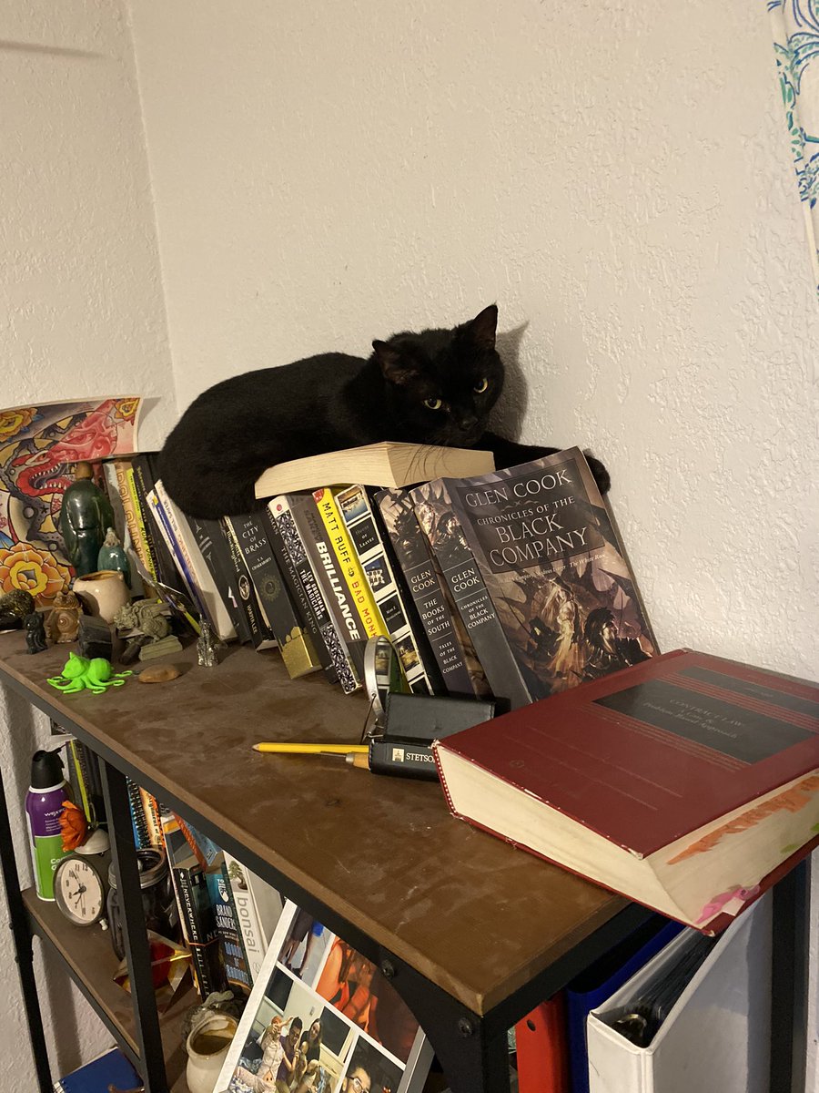 T_witters4nerds's tweet photo. He really just made himself right at home huh? https://t.co/g5KkKVzb4F