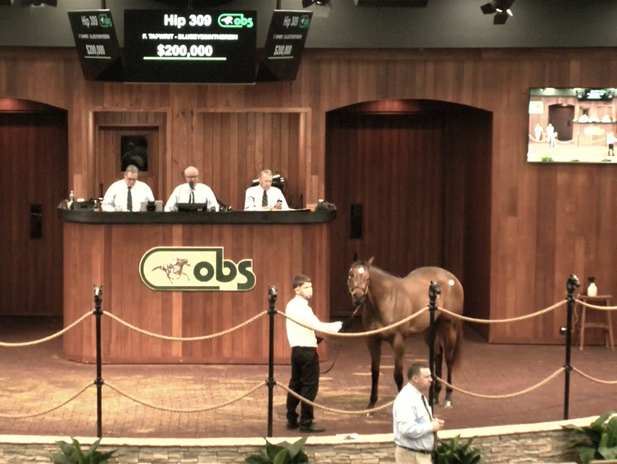 Gainesway's tweet photo. ✨ 200,000 for hip 309  @OBSSales
 – a filly from the first crop of TAPWRIT ✨

Consignor: @TopLineTBs 
Buyer: Martin S. Schwartz

#2YOTalent https://t.co/g4GOp3RSyN