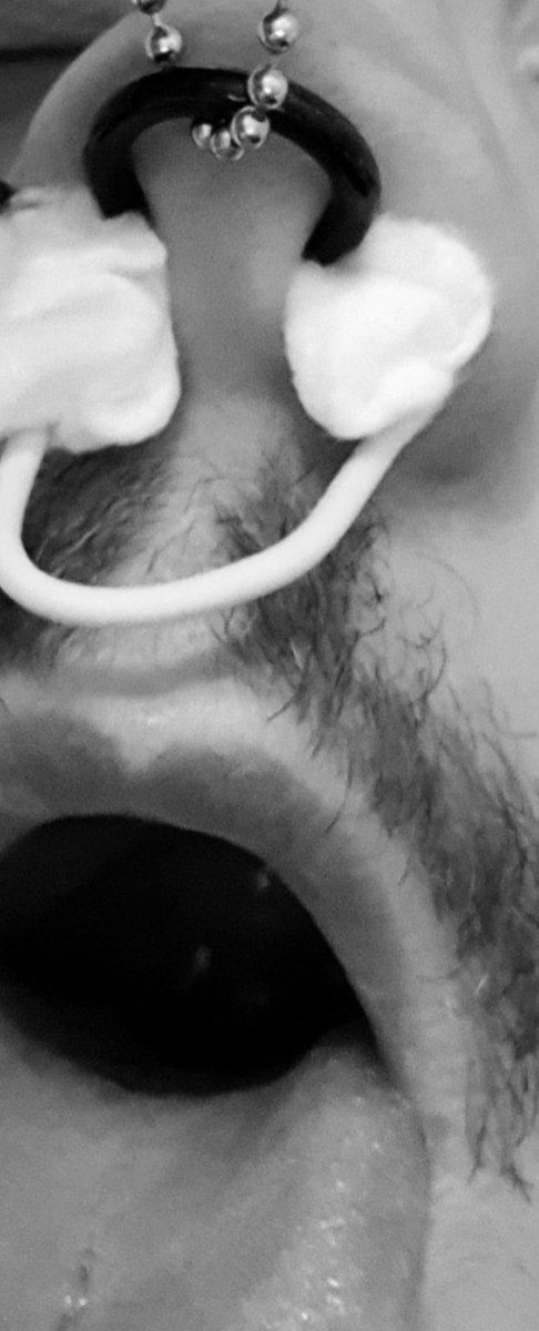 KinkiKid5's tweet photo. nostrils pulled  nosering, stretched  and stuffed with cotton, I feel so horny https://t.co/nqctSovCnA