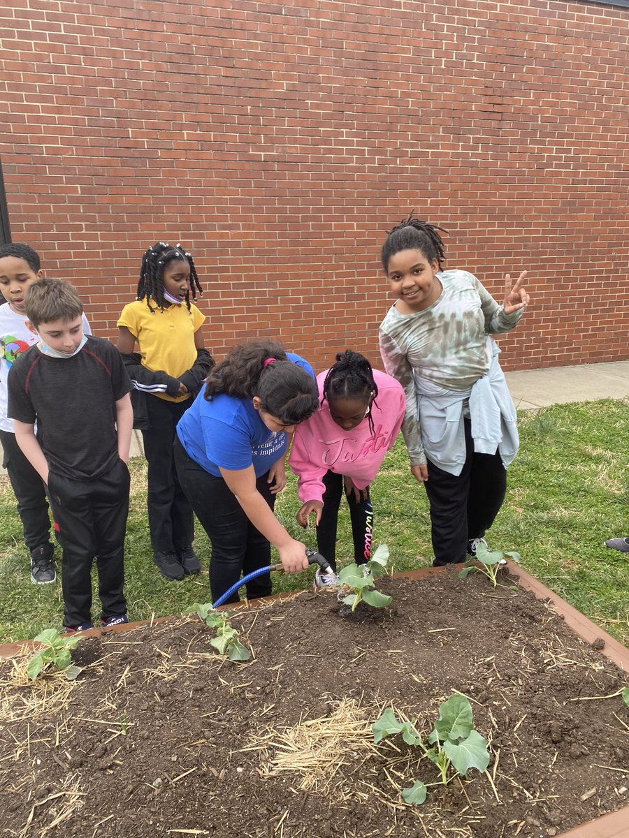 MCSfarmtoschool tweet media