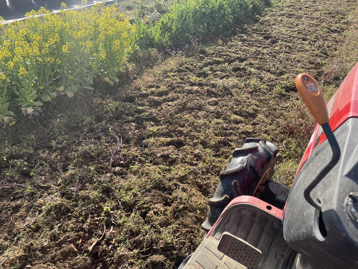 Hamiko (@hamiko_ko) on Twitter photo 今日はトラクター🚜
夏野菜畑を作るために、雑草だらけだったの土をたがやします。
天気は良いし広々してて、お気に入りのお仕事です。
大声で歌歌ってる😝 今日はトラクター🚜
夏野菜畑を作るために、雑草だらけだったの土をたがやします。
天気は良いし広々してて、お気に入りのお仕事です。
大声で歌歌ってる😝