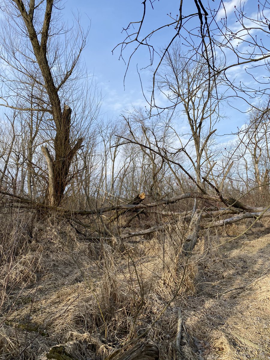 Nathan Wessner tweet media