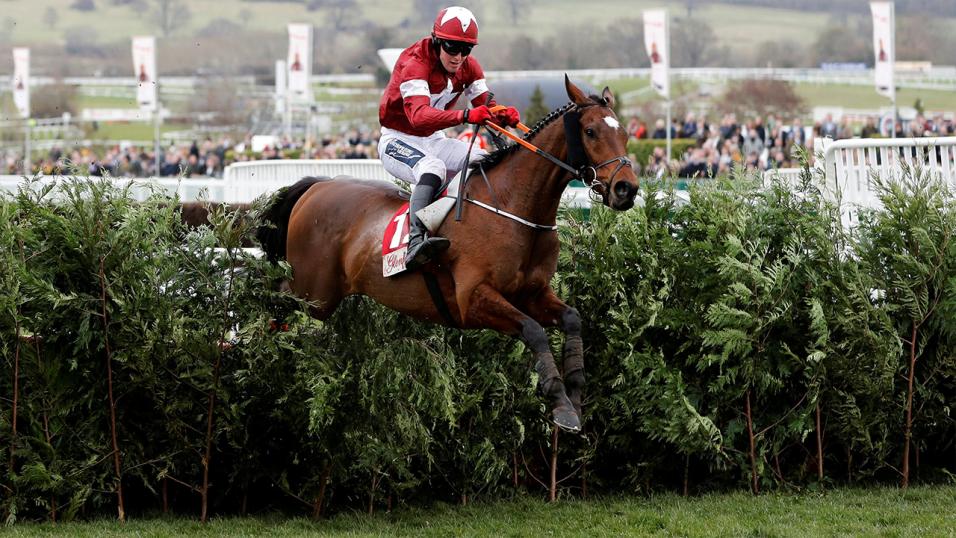🐯 If TIGER ROLL wins the Cross Country Chase at Cheltenham I'll give £100 CASH 💷 to one of you lucky people!

To Enter: 👇 

1️⃣ RT this Tweet
2️⃣ Follow 
<a href="/racingblogger/">Stephen R Power</a> 

👉 instagram.com/racingblogger/

#Cheltenhamfestival #TigerRoll 🏆
