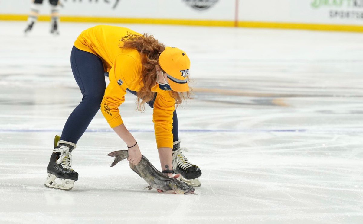 PredsNHL's tweet photo. CATFISH ALERT https://t.co/nvyu5Z6whY