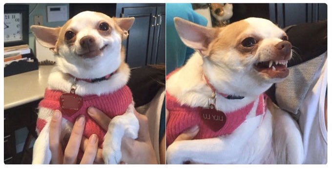 amandakokesh's tweet photo. Audience when Gabby walked out vs. when Clayton walked out #TheBachelor https://t.co/hI5UfnWnmA