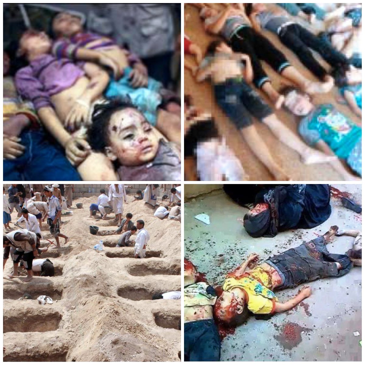 PrettaAngela's tweet photo. Crianças assassinadas pela guerra da Ucrânia... NÃO PERA!!!
ESSAS SÃO CRIANÇAS DA PALESTINA, SÍRIA E IÊMEN
(é mentira que a Rússia matou 90 crianças hoje)
mídia filha da put@ #JornalNacional #FreePalestine 
#FreeSiria #FreeIêmen https://t.co/aA9xrk6cyU