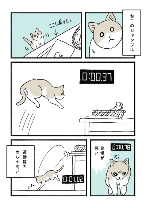 ねこの運動能力には関心するものがある🐱

#みちこの日記   #コルクラボマンガ専科 #猫のいるくらし 