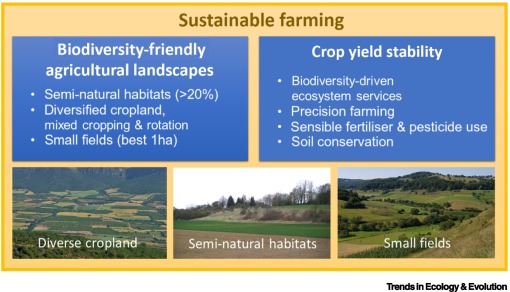 SASE_Lab's tweet photo. For #sustainableagriculture it is critical to prioritize the most effective measures for #biodiversityfriendly agriculture to maintain ecosystem services and yield.

Teja Tscharntke led our artile in @Trends_Ecol_Evo:

👇🏽👇🏽👇🏽
https://t.co/qqvB4bTBCg https://t.co/4ecIBgmmOf