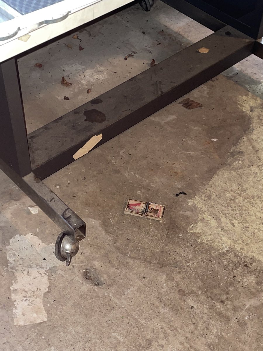 abbwri's tweet photo. landlords will really look you in the eye and say “please pay me $750 a month for this” https://t.co/WJ0VJNomYj