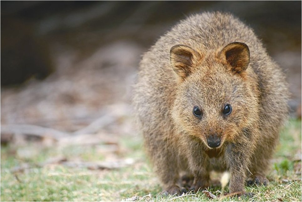 Trish Fleming tweet media