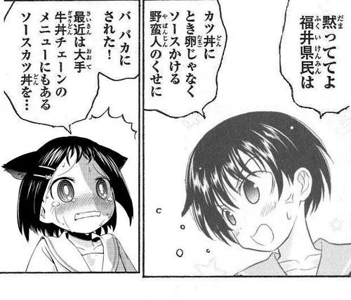 @distalblood 昔のソースカツ丼はこんな扱いでしたがw、最近は認知されてきましたね 