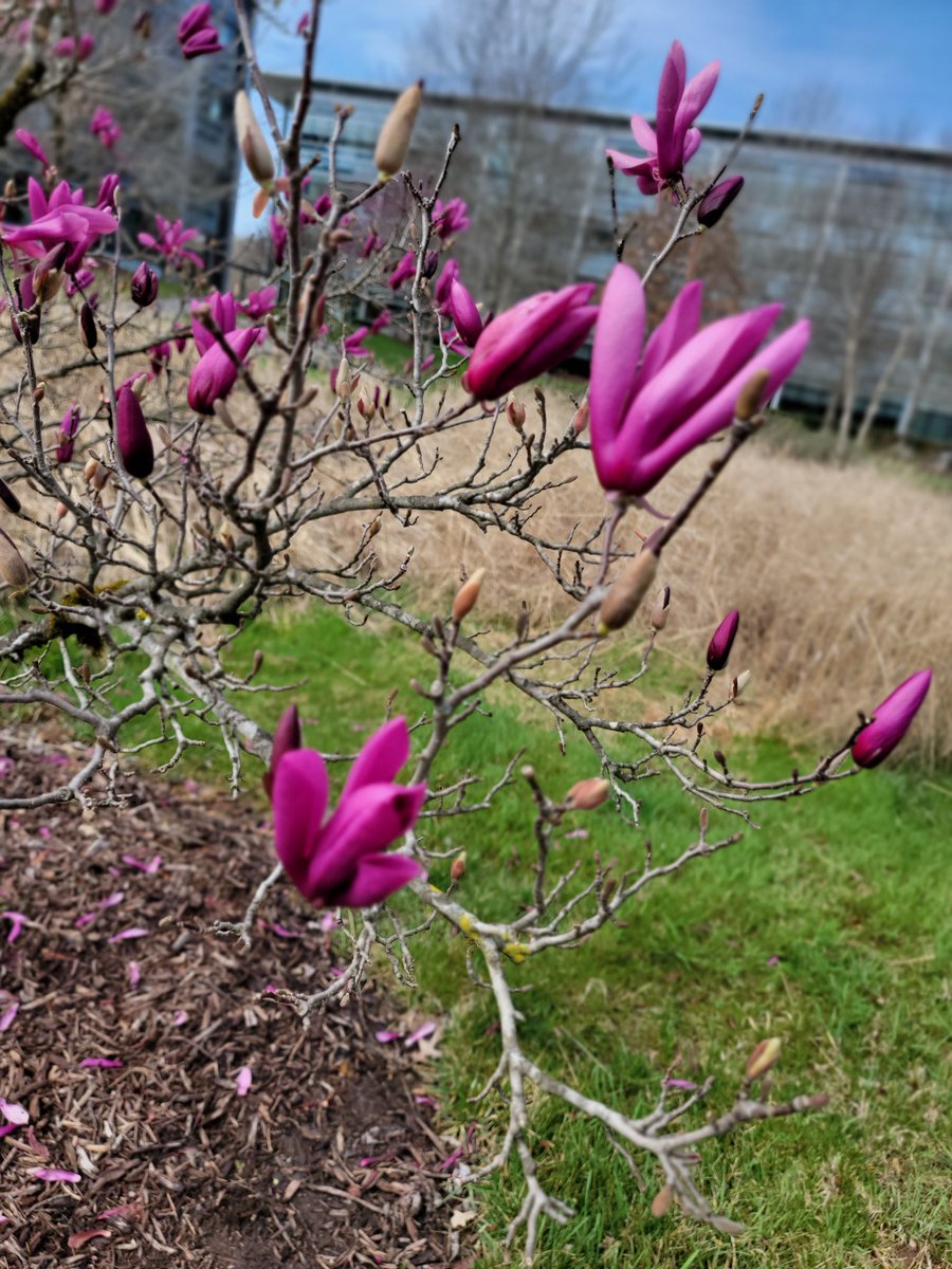 GoosemilkThePhotographer (@goosemilkp) on Twitter photo 