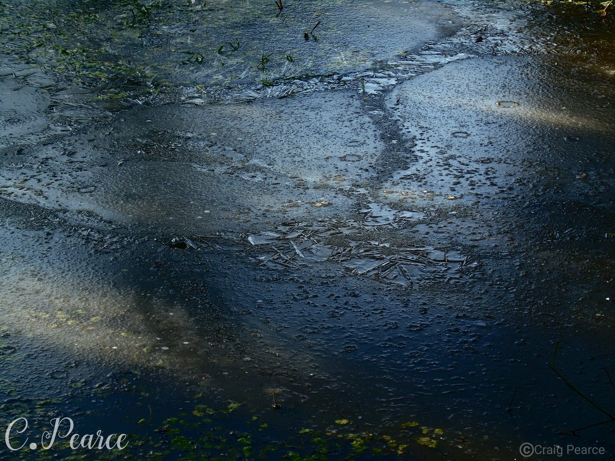 CoCroydon's tweet photo. Frozen lake. #photography #photographer #frozen #frozenlake #frozenpond #ice #pond #naturephotography #natureshots #nature #water #glacier #glaciers #winter #snow #snowy #icey #croydon #bhfyp #glazed #glazedover #woodlandphotography #woods #woodlandwalks #intothewoods https://t.co/WGkbp7Sfdf