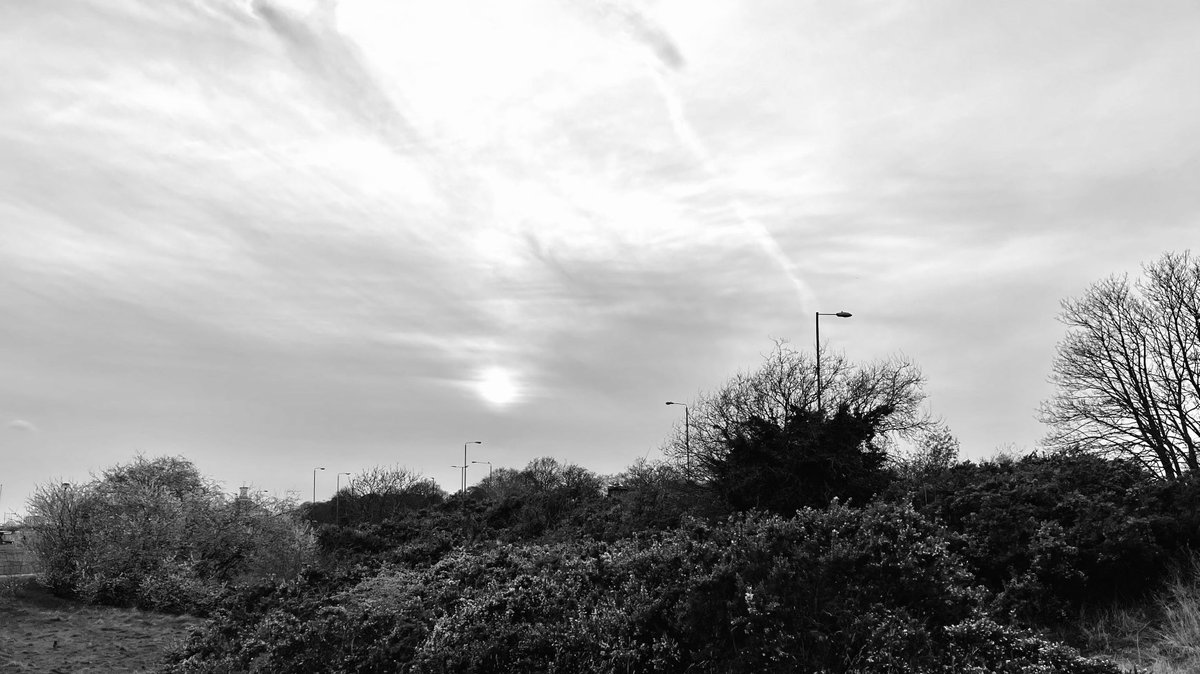 greenroofsuk's tweet photo. No #sunset and no #sunrise today. This was the partially hidden sun yesterday at #vanburghpits #greenwich #blackheath. Best in #blackandwhite https://t.co/GdT85iXCw5