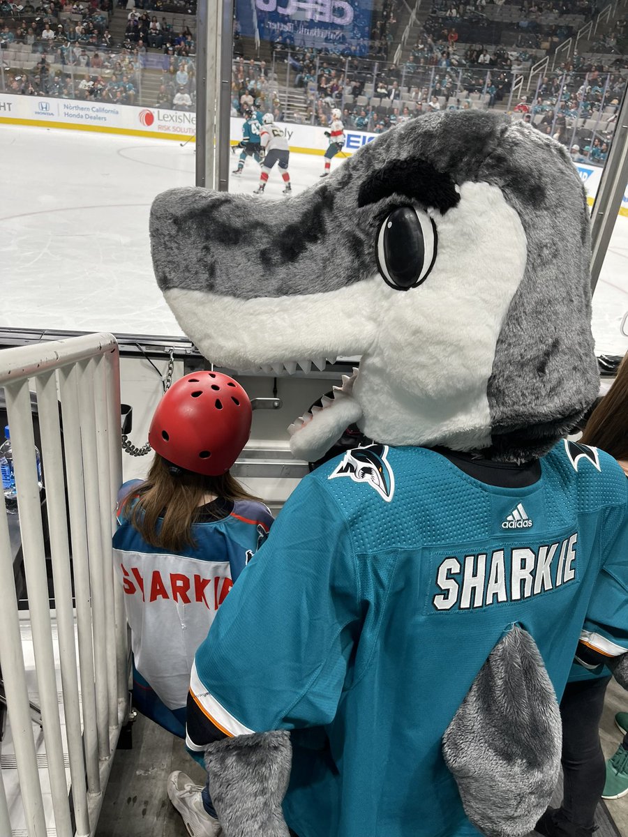 E_Crack27's tweet image. Thanks for an unforgettable evening @sjsharkie . You have made a friend for life. She’s sleeping with the hand puppet as we speak !