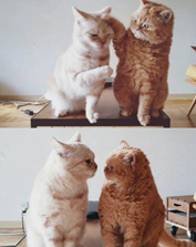 I'm not a greedy person
in the crowd
to have eyes
Just make me feel familiar