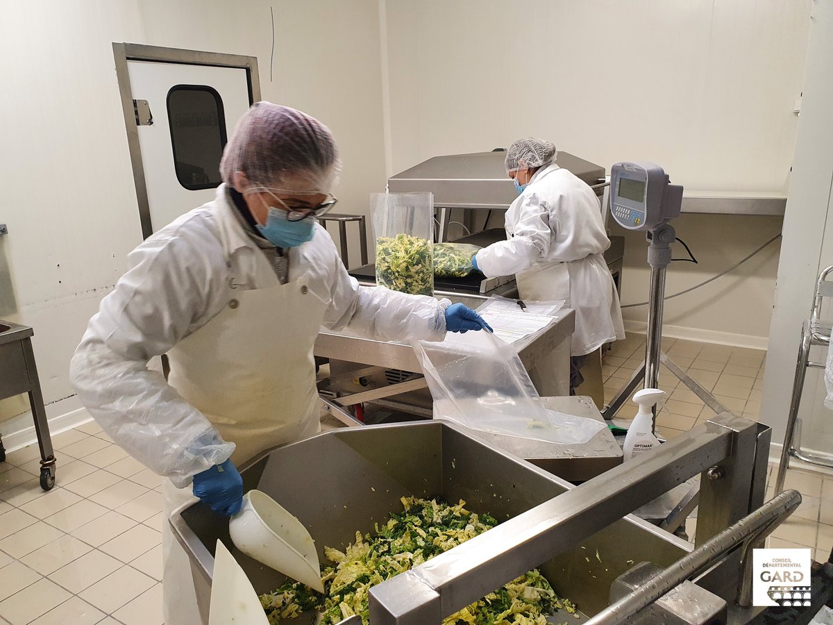 Gard's tweet photo. 🍐 @LeGers32 a visité l’Unité de Conditionnement des Légumes (UCL)
🔹2 jours d’échanges fructueux autour de la qualité alimentaire et de notre fonctionnement.
ℹ L'UCL approvisionne en fruits et légumes frais et #produitsbio les services de restauration de 26 collèges gardois https://t.co/9yIqHzeT0p