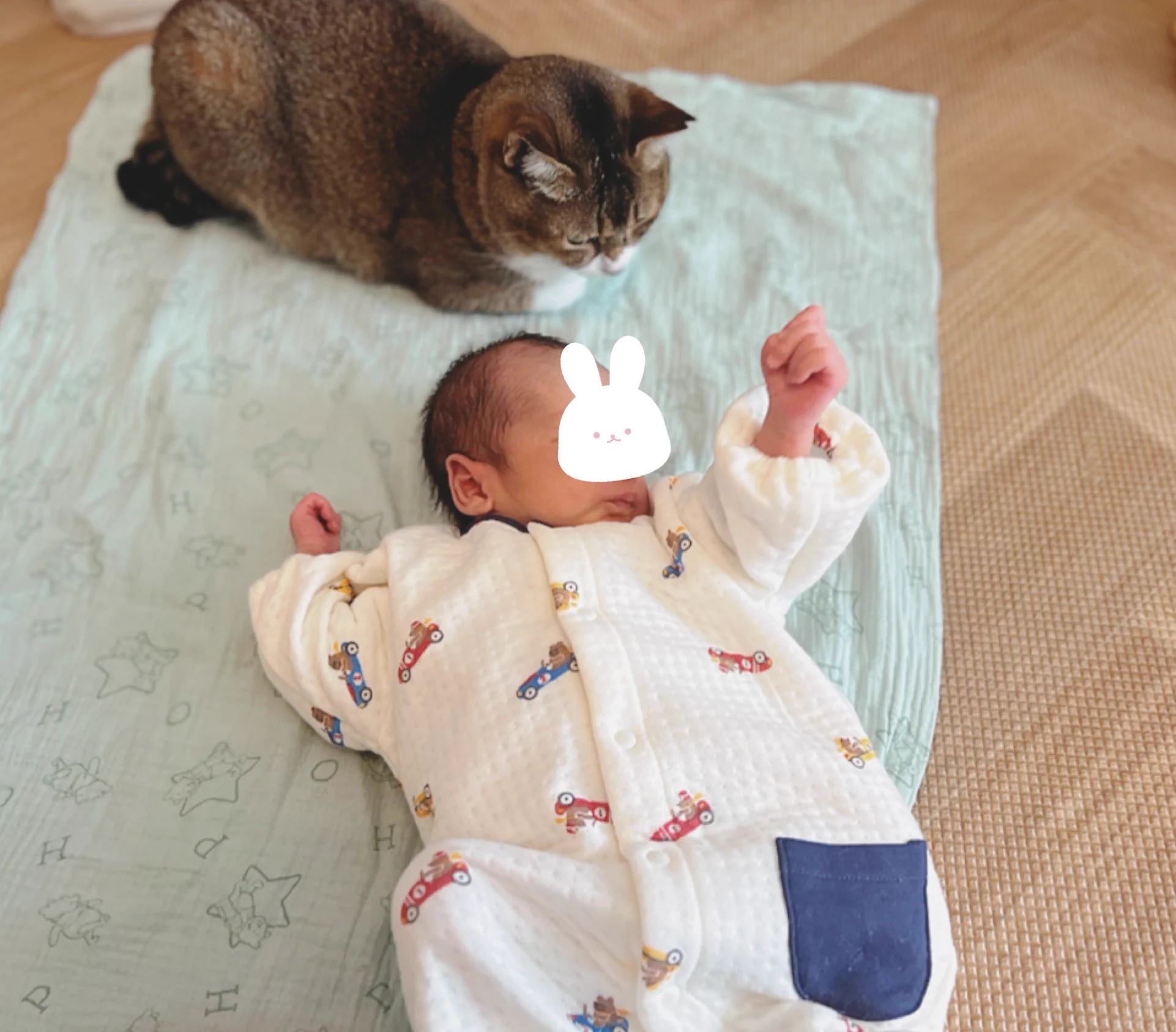これで双子の赤ちゃんも安心！可愛すぎるベビーニャッター