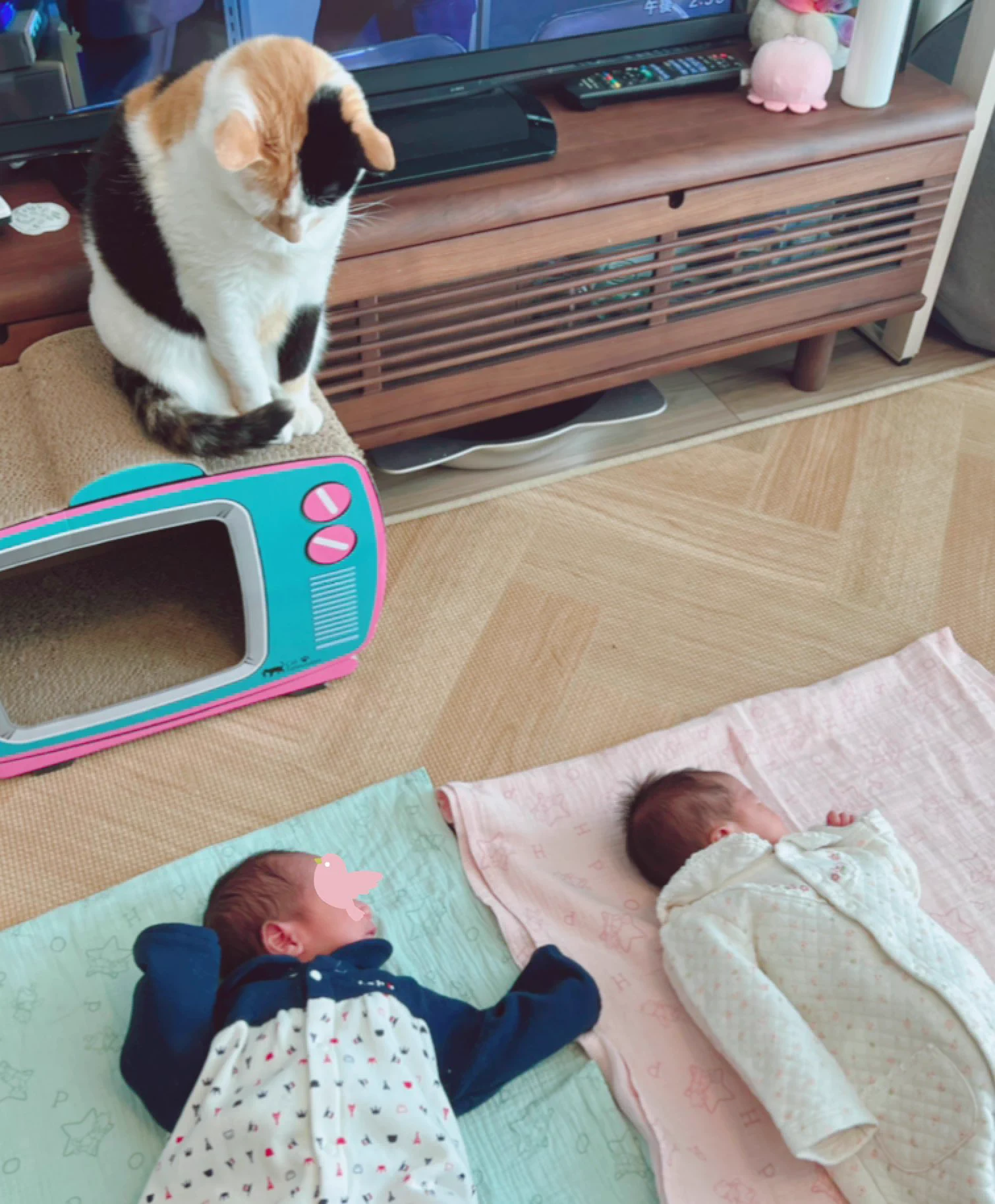 これで双子の赤ちゃんも安心！可愛すぎるベビーニャッター