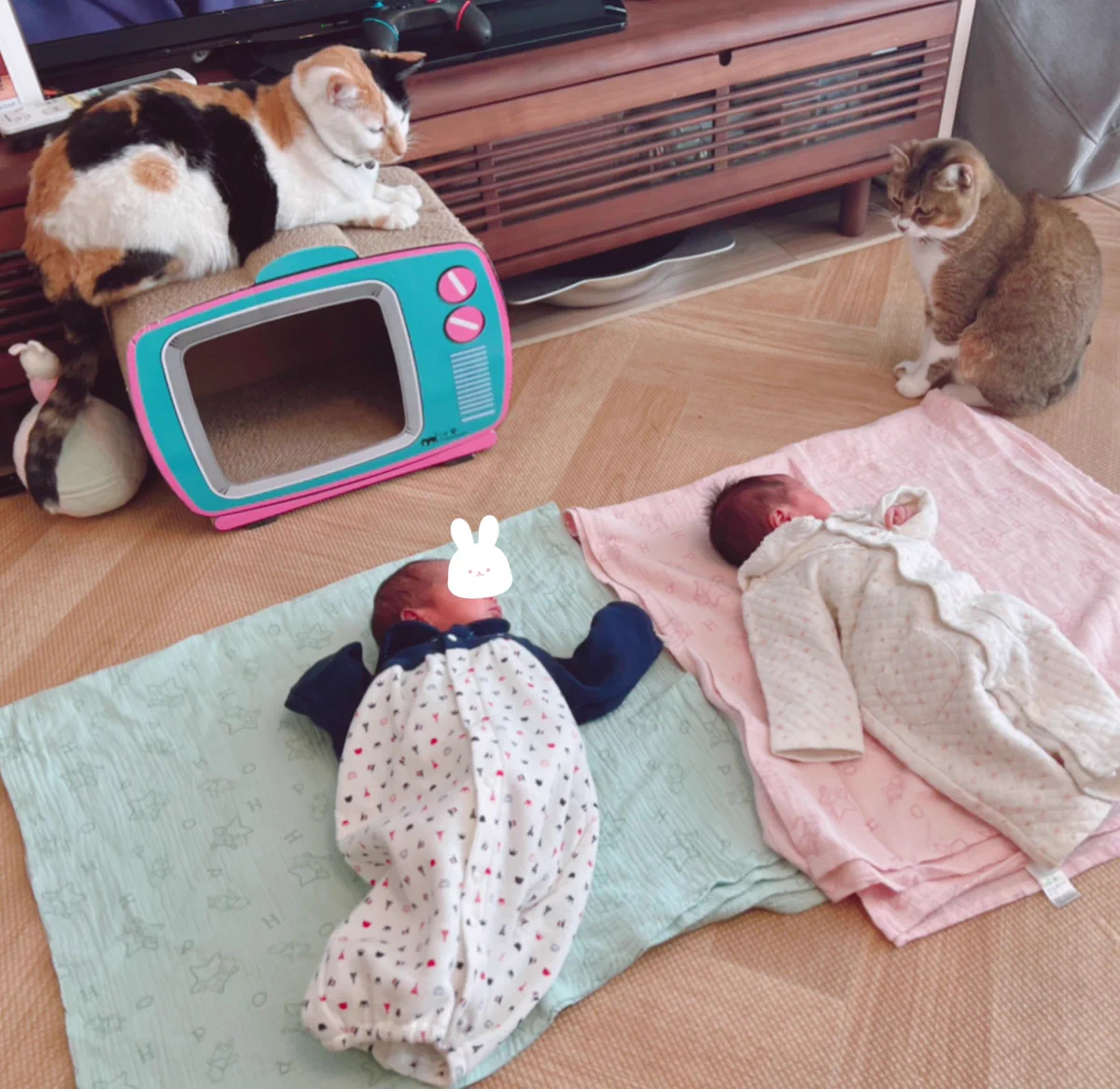 これで双子の赤ちゃんも安心！可愛すぎるベビーニャッター