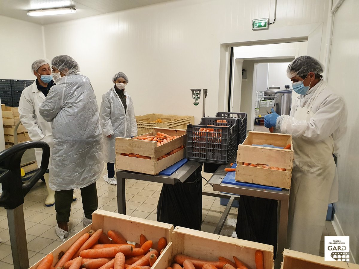 Gard's tweet photo. 🍐 @LeGers32 a visité l’Unité de Conditionnement des Légumes (UCL)
🔹2 jours d’échanges fructueux autour de la qualité alimentaire et de notre fonctionnement.
ℹ L'UCL approvisionne en fruits et légumes frais et #produitsbio les services de restauration de 26 collèges gardois https://t.co/9yIqHzeT0p