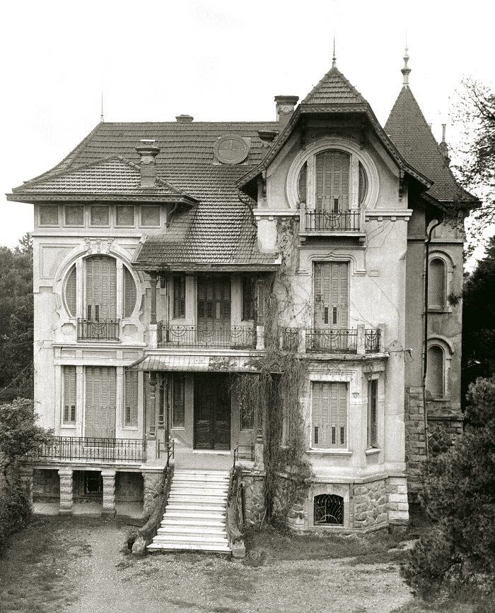 Θεοδώρα tweet media