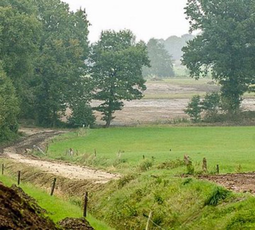 ☝️ #landschap liefhebbers ❤️in #twente en elders; Succes vandaag in het stemhokje en vergeet niet #natuur #leefbaarheid en #biodiversiteit 🐞🦋🐝 mee te laten wegen in het stemhokje. Wij allemaal dragen de verantwoording voor de toekomst..🌿🎄🍀🌺 🌏🌳 #gemeenteraadsverkiezingen
