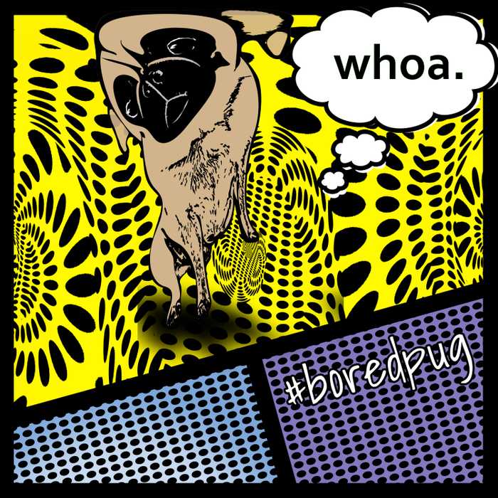 Joshua Skellett tweet media