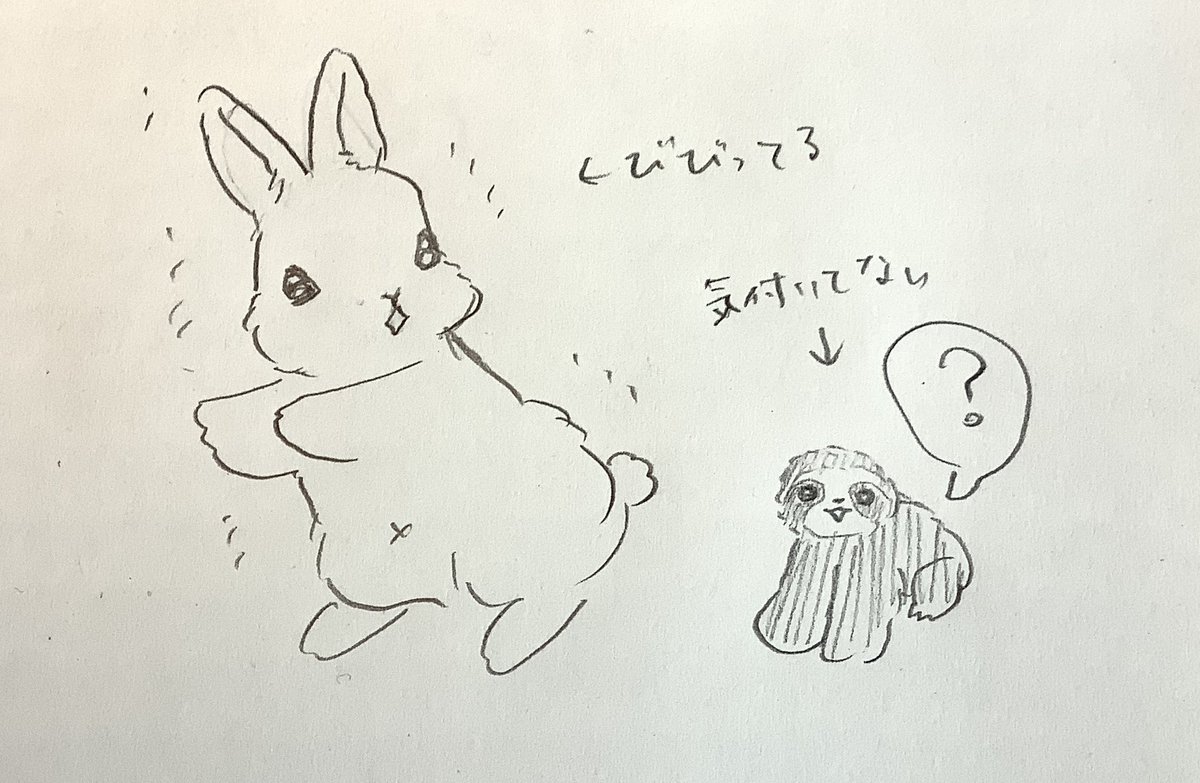 イラリク⑨
きんちゃん🐰&amp;つめじろう🦥 
