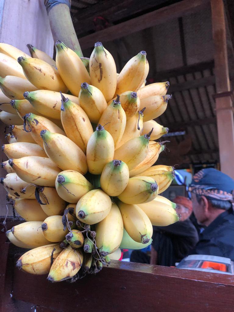 watchdoc_ID's tweet photo. Perlawanannya lewat bahasa dan pembangkangan sipil di berbagai aspek kehidupan diperingati dan diteruskan oleh para pengikutnya hingga kini, seperti lewat perlawanan menolak tambang dan pabrik semen di Pati dan Rembang. https://t.co/TFOwyw2MK0