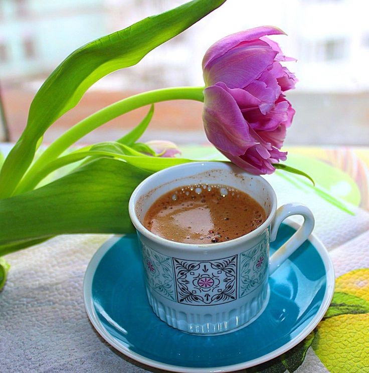Olgа🌸🌿 tweet media