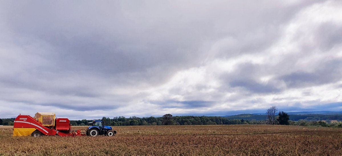 Kate Grigg tweet media